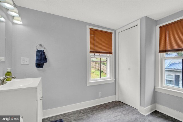 interior space with hardwood / wood-style floors and vanity