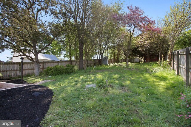 view of yard