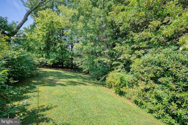 view of green lawn with a view of trees