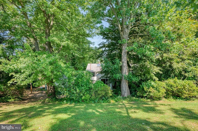 view of grassy yard
