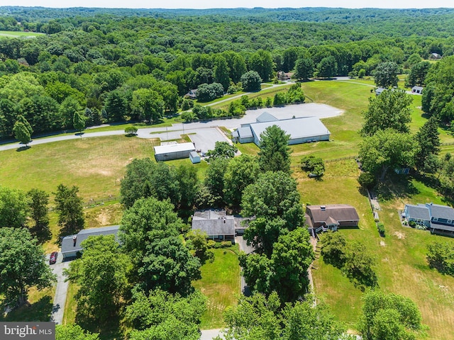 aerial view of a forest