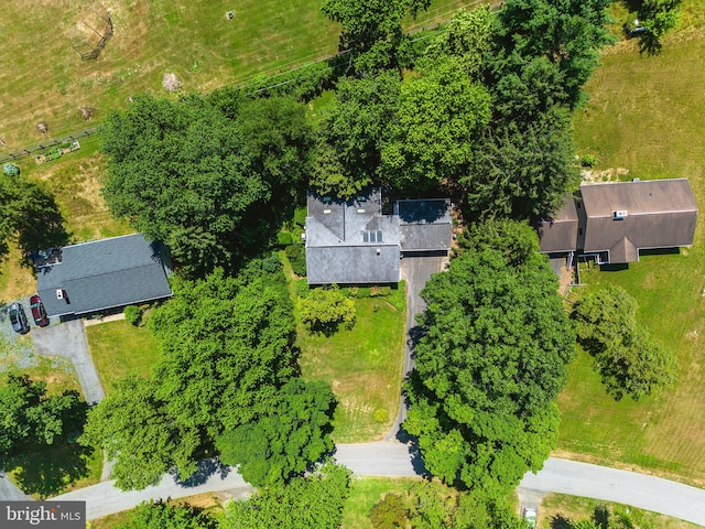 bird's eye view