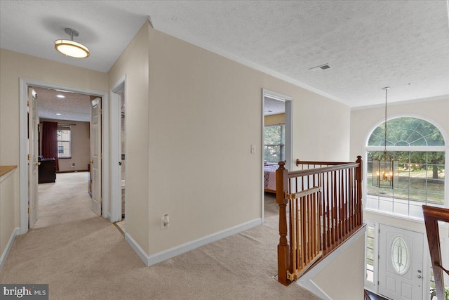 hall featuring light colored carpet and a textured ceiling