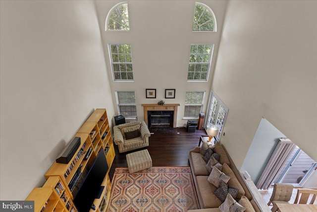 living room featuring wood-type flooring and a towering ceiling