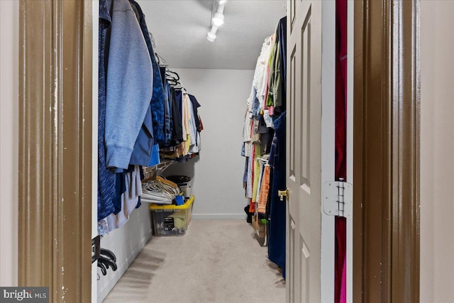 spacious closet with light colored carpet