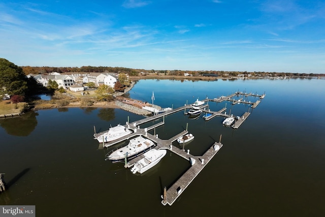 dock area featuring a water view