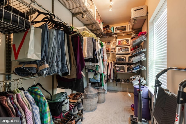 view of spacious closet