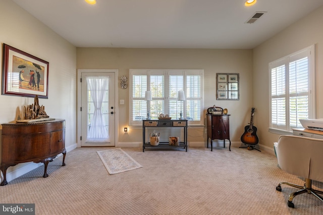 interior space with light colored carpet