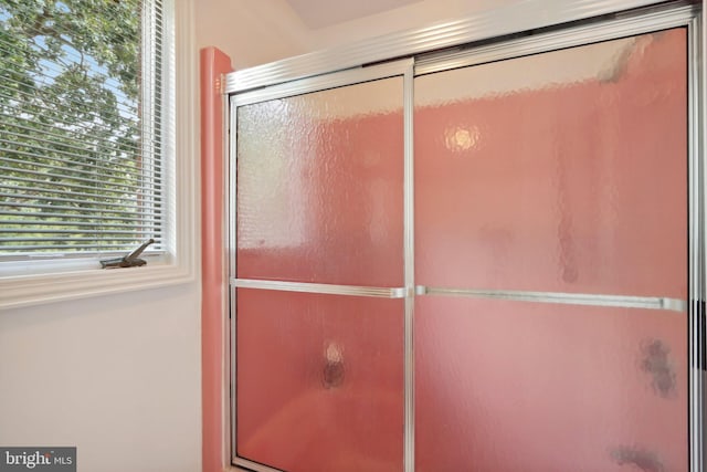 bathroom featuring a shower with door