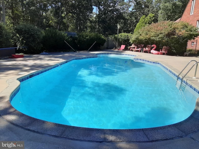 view of swimming pool featuring a patio