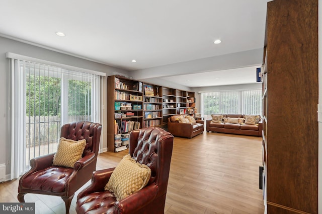 living room featuring light hardwood / wood-style flooring