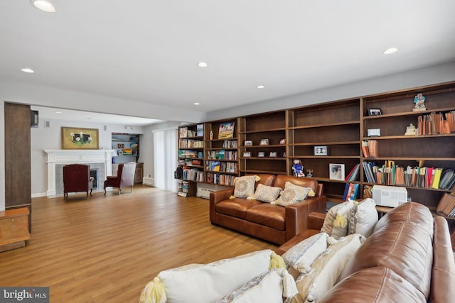 living room featuring light hardwood / wood-style floors