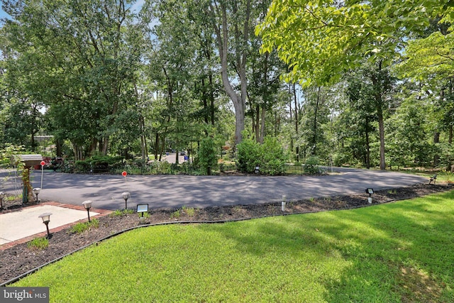 view of basketball court with a lawn