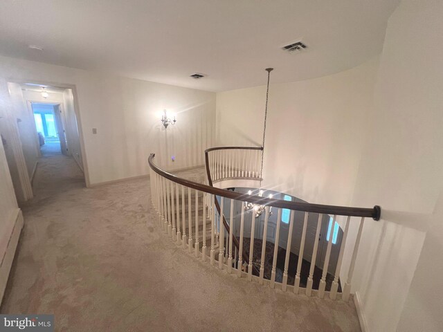 staircase featuring carpet floors