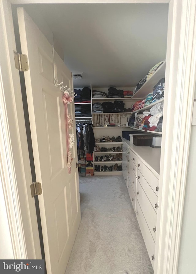 spacious closet featuring light colored carpet