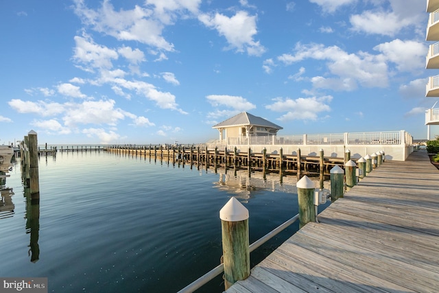 dock area with a water view