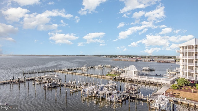 water view with a dock