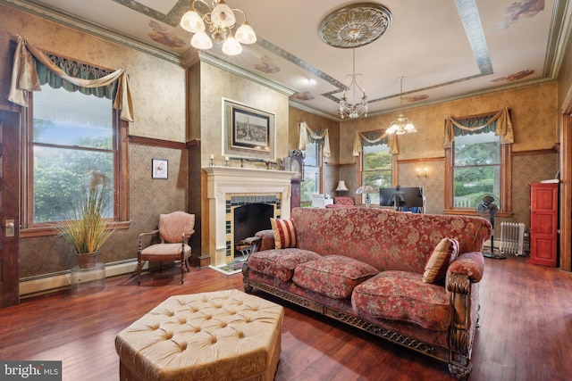 living room featuring radiator, an inviting chandelier, a raised ceiling, crown molding, and dark hardwood / wood-style flooring