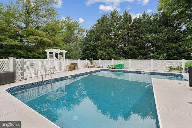 view of swimming pool with a patio