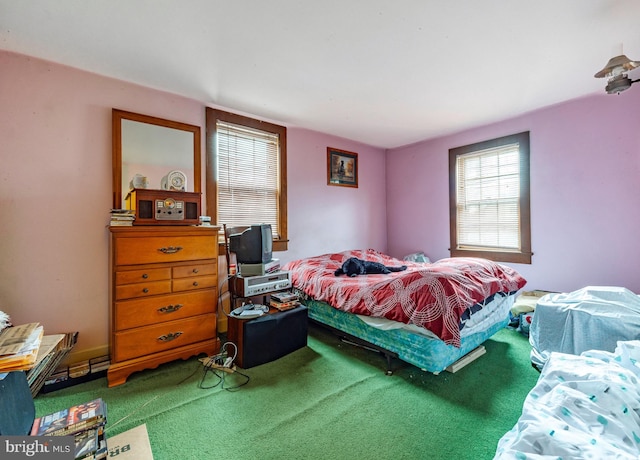 bedroom with carpet floors