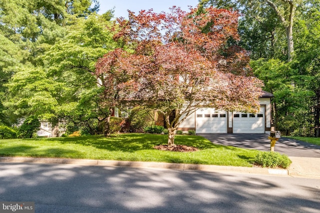 10712 Freds Oak Ct, Burke, VA 22015 - obstructed view of property featuring asphalt driveway, a garage, and a front lawn