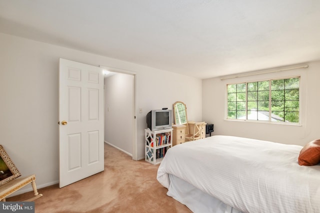 10712 Freds Oak Ct, Burke, VA 22015 - carpeted bedroom with baseboards