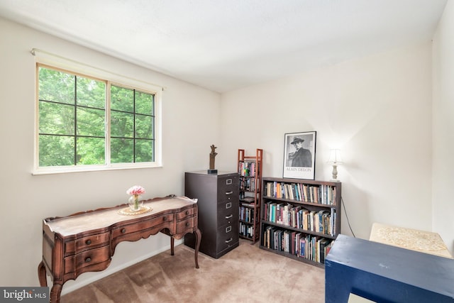 10712 Freds Oak Ct, Burke, VA 22015 - office featuring carpet floors