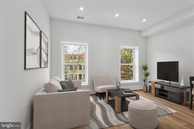 living room featuring light hardwood / wood-style floors