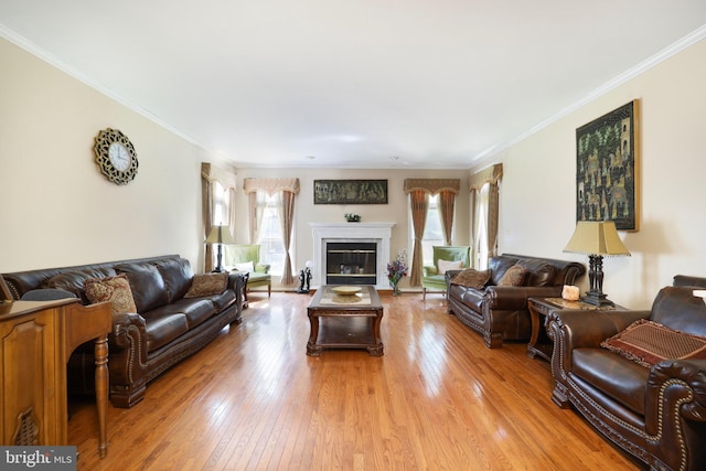 living room with light hardwood / wood-style flooring and crown molding