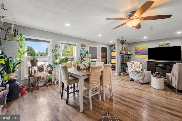 dining area with ceiling fan, wood-type flooring, a textured ceiling, and ornamental molding