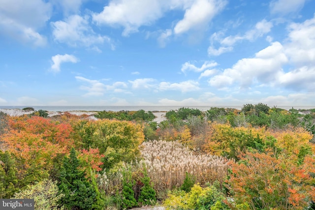 view of landscape with a water view