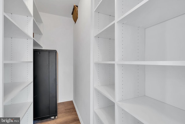 spacious closet with hardwood / wood-style flooring