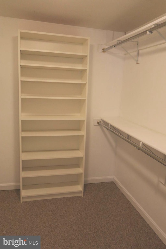 spacious closet with carpet floors