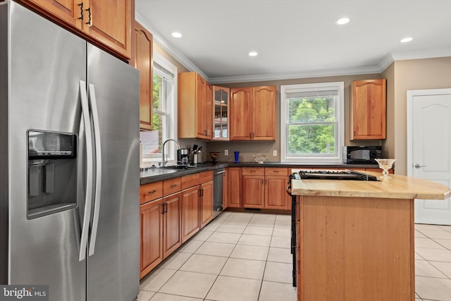 kitchen featuring plenty of natural light, sink, stainless steel appliances, and crown molding