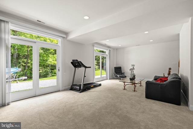 workout area with light carpet and a healthy amount of sunlight