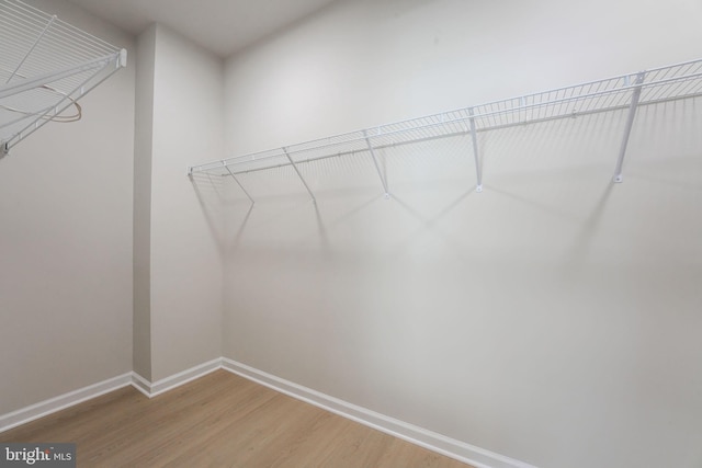 spacious closet featuring hardwood / wood-style floors