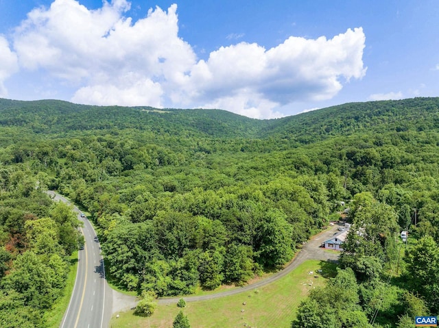 9100 Rockfish Gap Tpke, Afton VA, 22920 land for sale