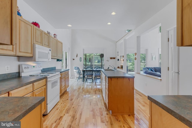 kitchen featuring a kitchen island with sink, light hardwood / wood-style flooring, white appliances, and sink