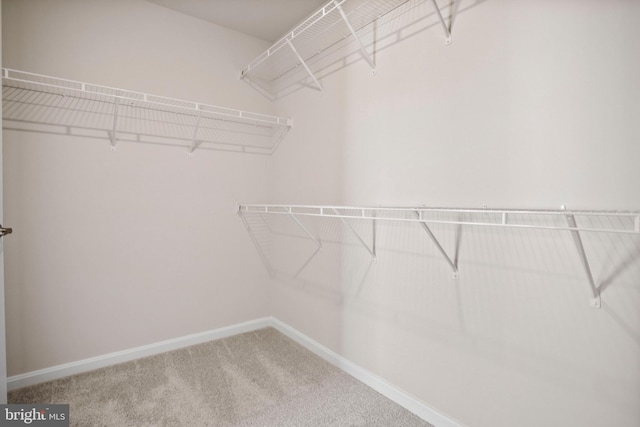 spacious closet with carpet floors