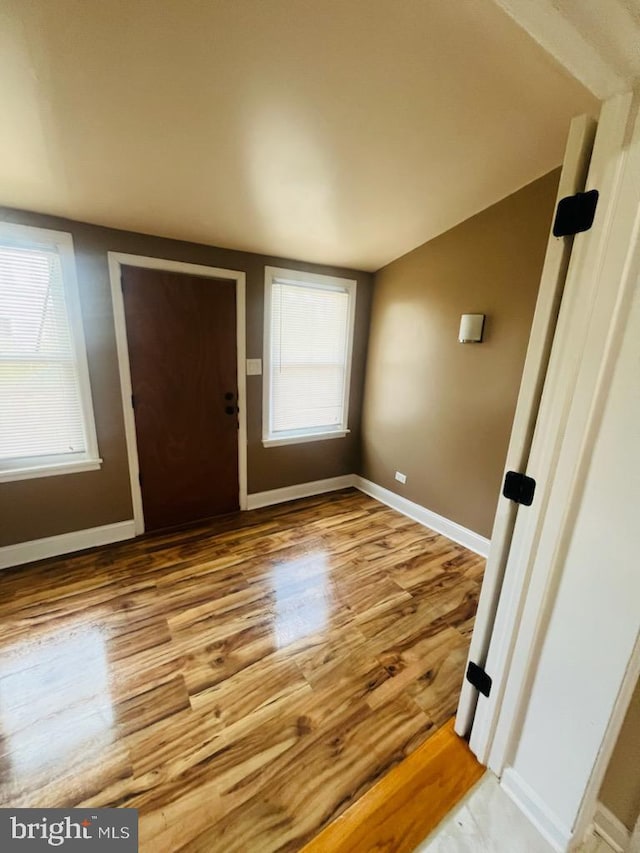 entrance foyer with a healthy amount of sunlight and light hardwood / wood-style floors