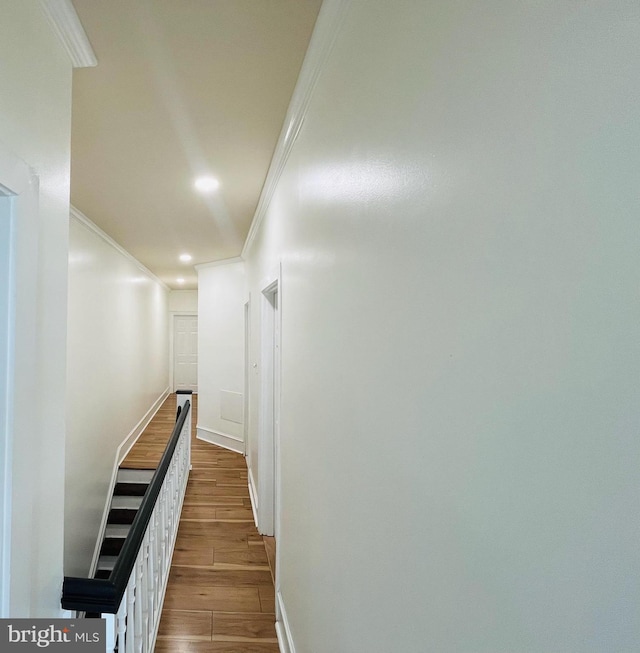 hall featuring dark wood-type flooring and ornamental molding