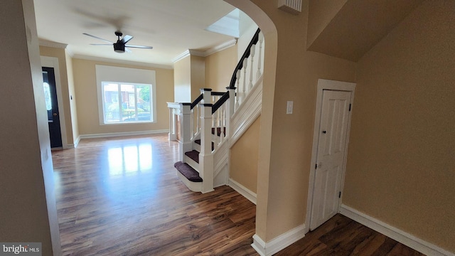 stairs with ceiling fan, hardwood / wood-style floors, and ornamental molding