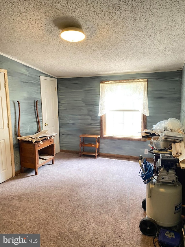 miscellaneous room featuring carpet and a textured ceiling