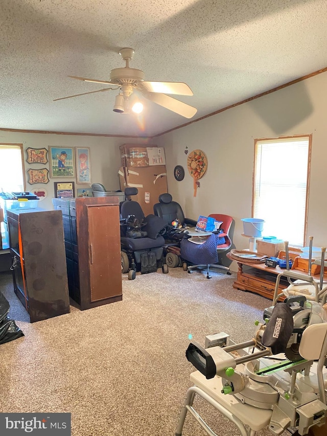 interior space with carpet flooring, a textured ceiling, ceiling fan, and crown molding