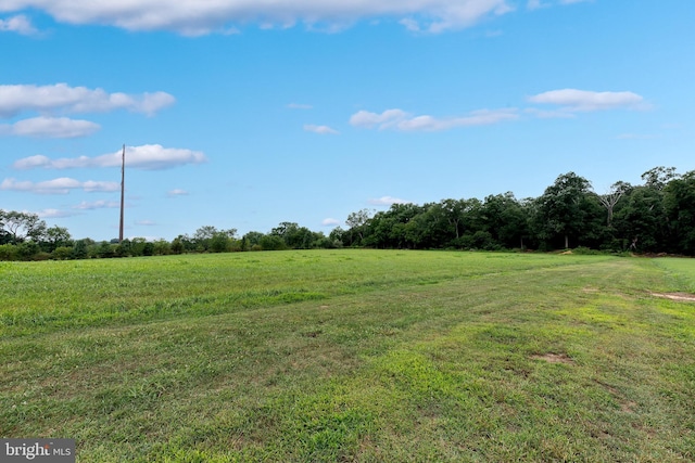 view of yard featuring a rural view