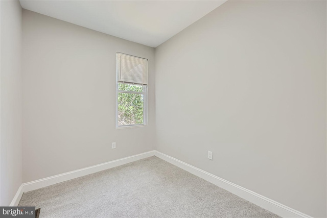 empty room featuring carpet floors