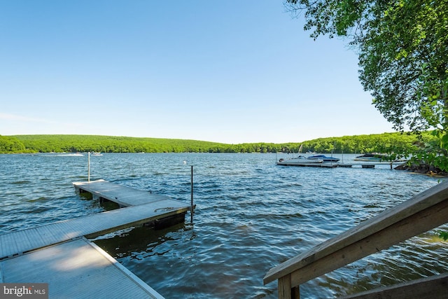 dock area featuring a water view