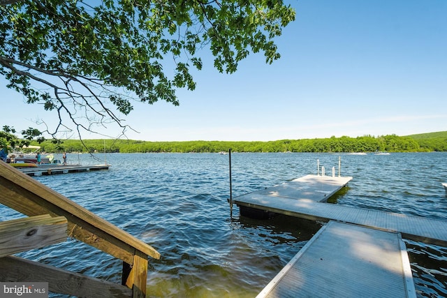 dock area featuring a water view