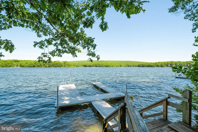 dock area with a water view