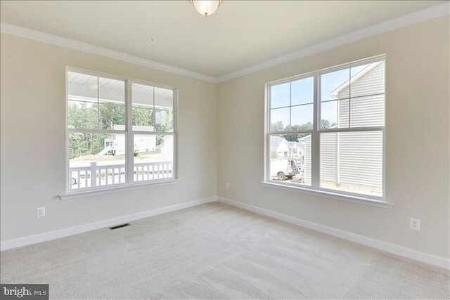 carpeted spare room featuring ornamental molding